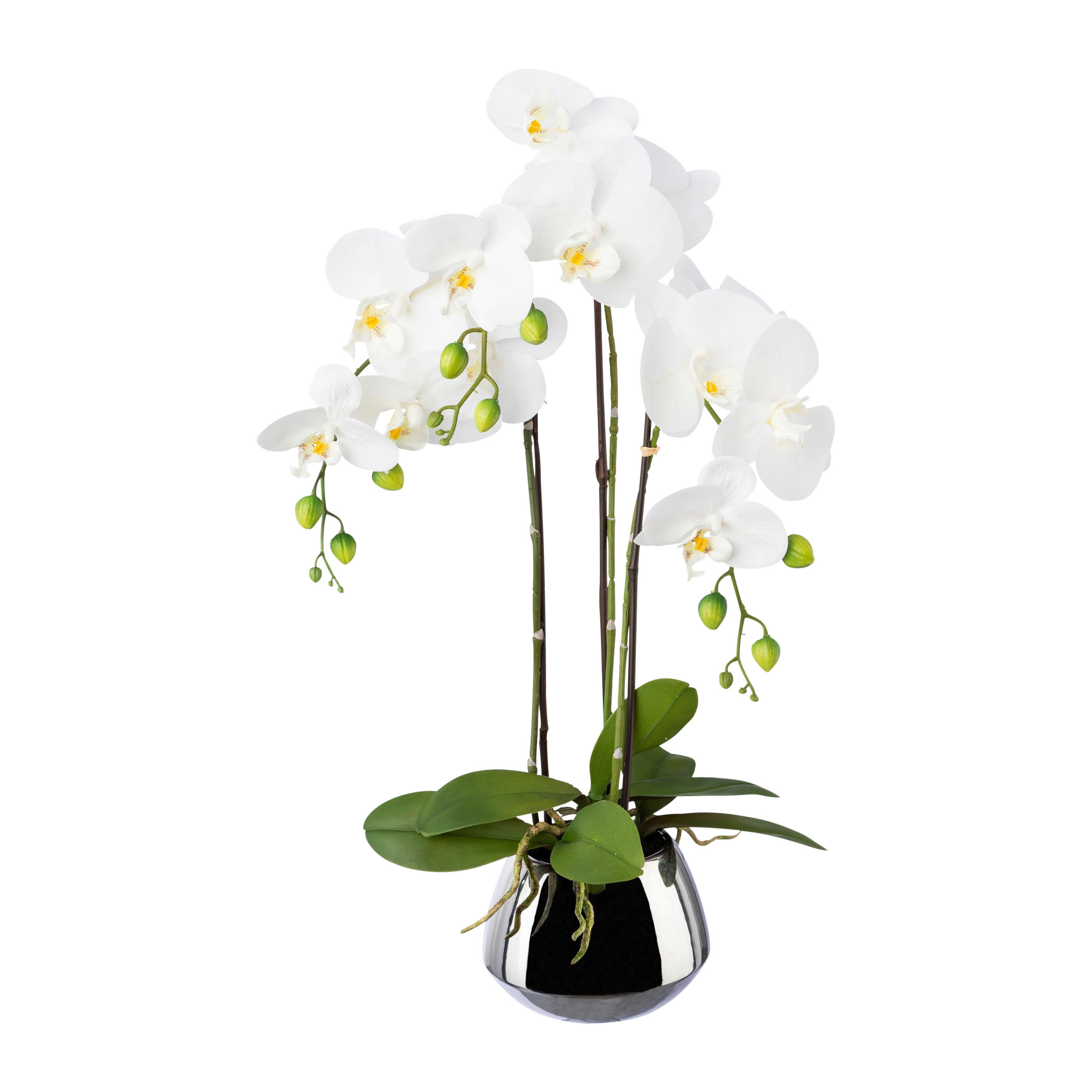 Kunstpflanze Phalaenopsis weiß Kunststoff B/H/L: ca. 17x55x17 cm Phalaenopsis - weiß (17,00/17,00/55,00cm)