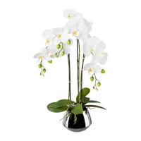 Kunstpflanze Phalaenopsis weiß Kunststoff B/H/L: ca. 17x55x17 cm Phalaenopsis - weiß (17,00/17,00/55,00cm)