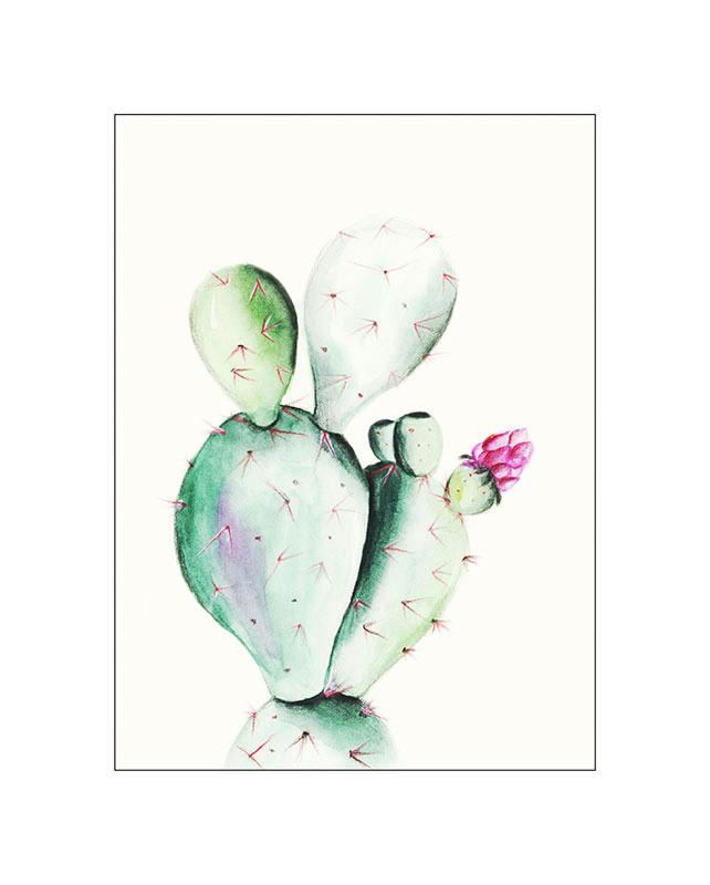 Komar Poster Prickly Pear Watercolor Pflanzen B/L: ca. 40x50 cm