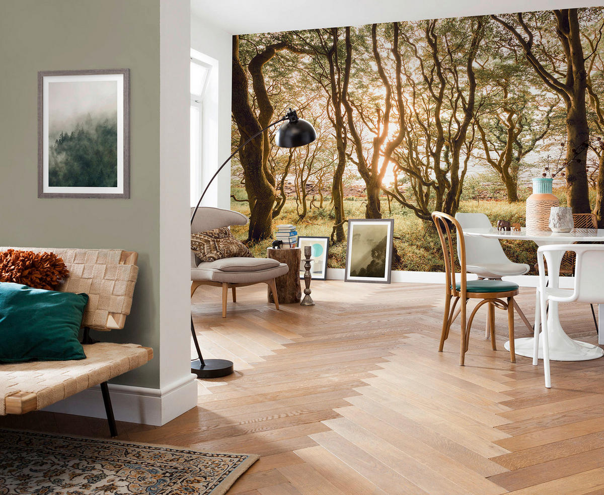 Komar Fototapete Bold Birch B/L: ca. 400x250 cm Bold Birch - (400,00/250,00cm) - Komar
