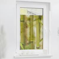LICHTBLICK Fensterfolie Bambus Floral Bambus grün B/L: ca. 50x50 cm Bambus - grün (50,00/50,00cm) - LICHTBLICK