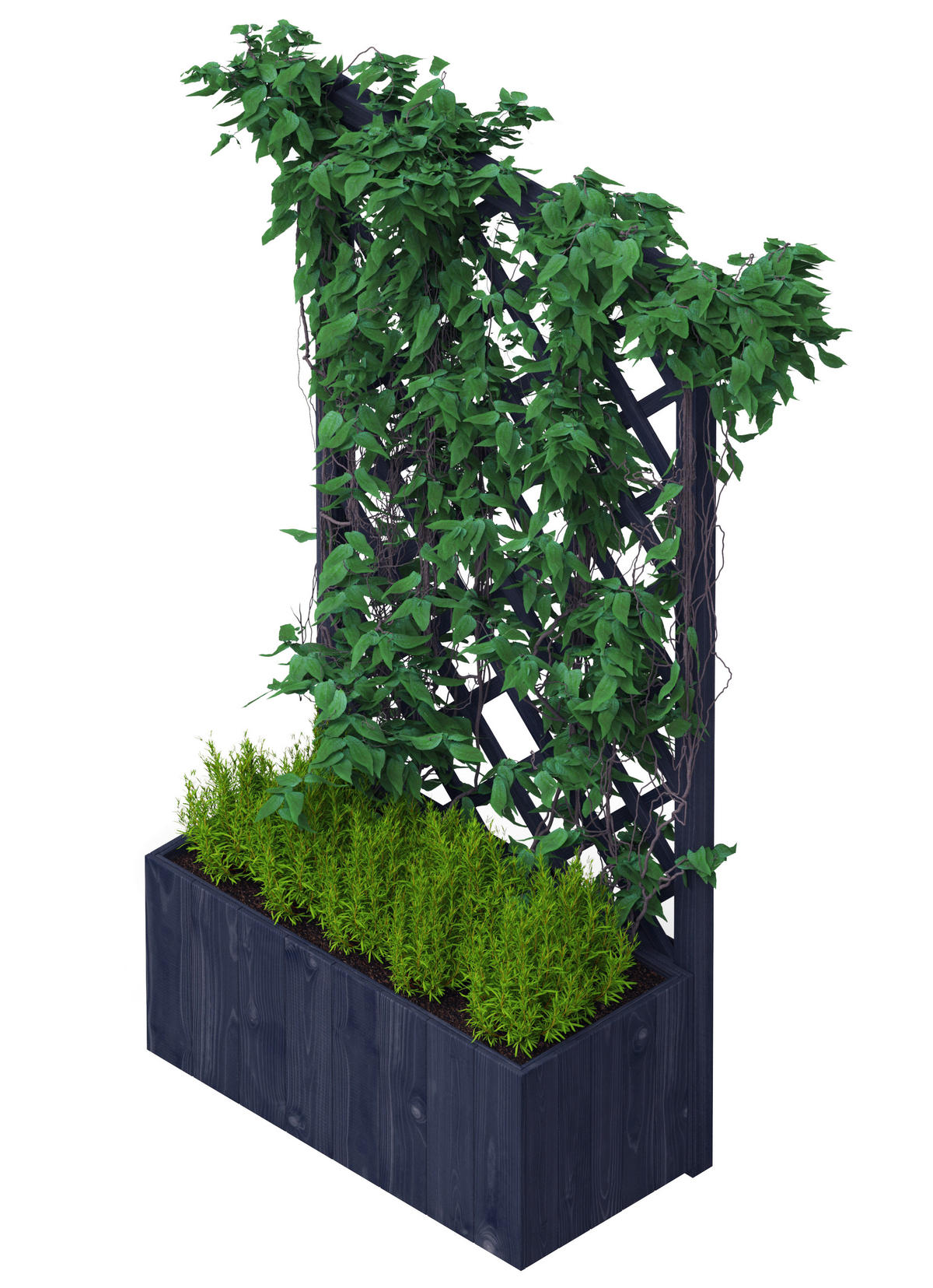UPYARD Pflanzkasten CLASSIC schwarz Holz B/H/L: ca. 40x160x80 cm CLASSIC - schwarz (80,00/40,00/160,00cm) - UPYARD