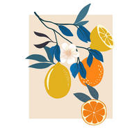 Komar Poster Illustration Finest Fruits Pflanzen B/L: ca. 40x50 cm Illustration Finest Fruits - (40,00/50,00cm) - Komar