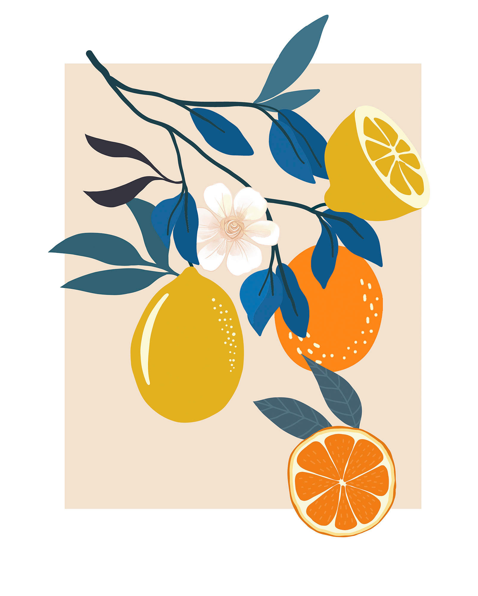 Komar Poster Illustration Finest Fruits Pflanzen B/L: ca. 40x50 cm günstig online kaufen