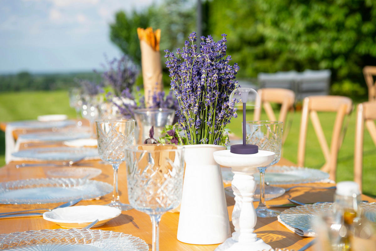 LED-Außentischleuchte violett B/H/T/D: ca. 8x18,5x8x8 cm GOMBA - violett (8,00/18,50/8,00cm) - Näve Leuchten