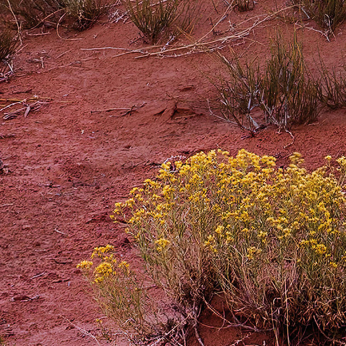 Komar Fototapete Wild West Heroes B/L: ca. 450x280 cm Wild West Heroes - (450,00/280,00cm) - Komar
