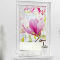Verdunkelungsrollo Magnolie rosa B/L: ca. 60x150 cm Magnolie - rosa (60,00/150,00cm) - LICHTBLICK