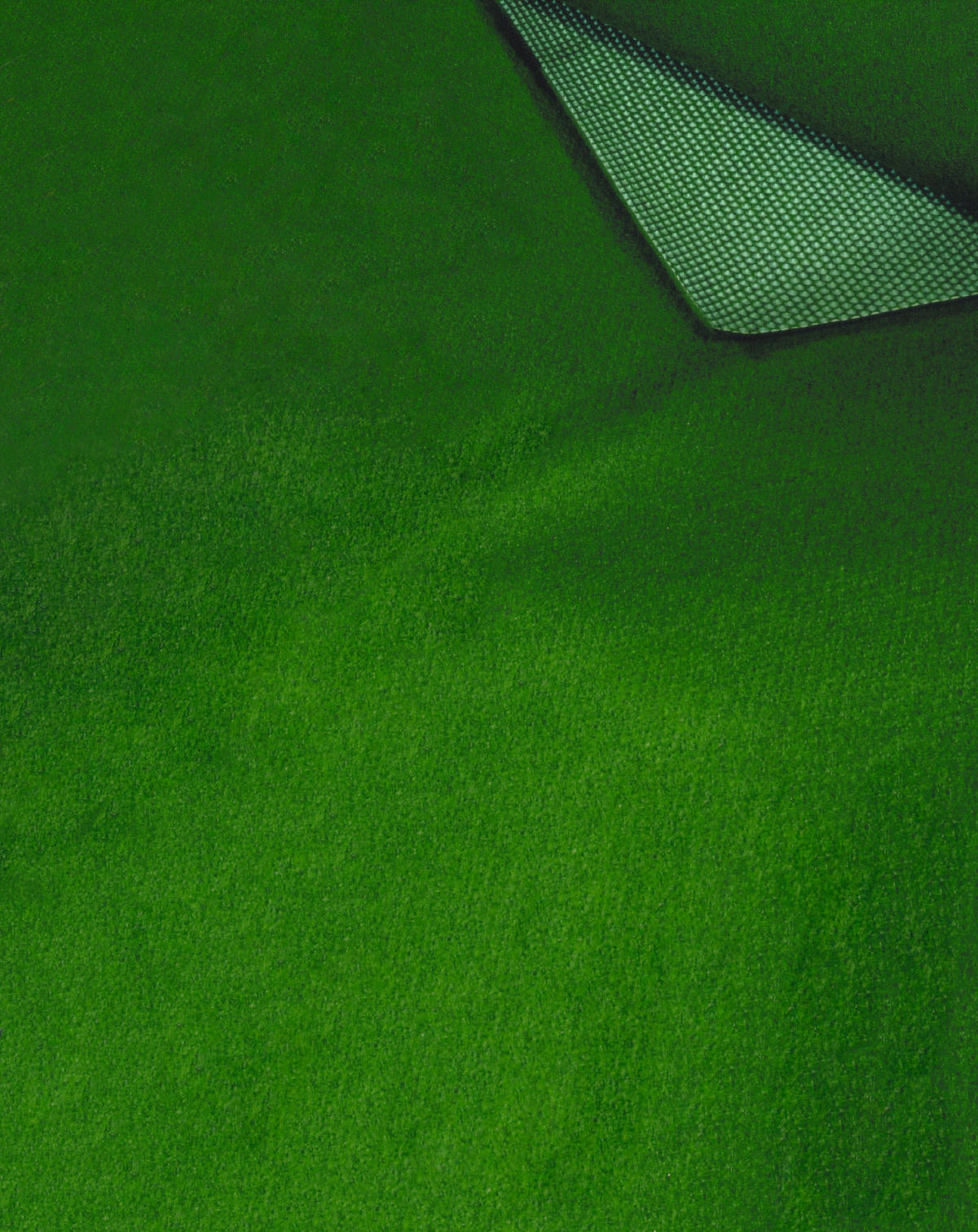 Kunstrasen Grass grün B: ca. 200 cm pro m² Grass - grün (200,00cm)