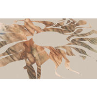 Komar Fototapete Autumn Leaves B/L: ca. 400x250 cm Autumn Leaves - (400,00/250,00cm) - Komar