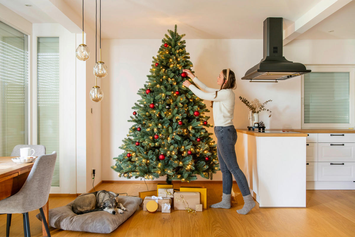 Evergreen Weihnachtsbaum Vermont Fichte Vermont Fichte - grün (160,00/160,00/240,00cm) - Evergreen