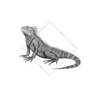 Komar Poster Iguana White Tiere B/L: ca. 30x40 cm Iguana White - (30,00/40,00cm) - Komar