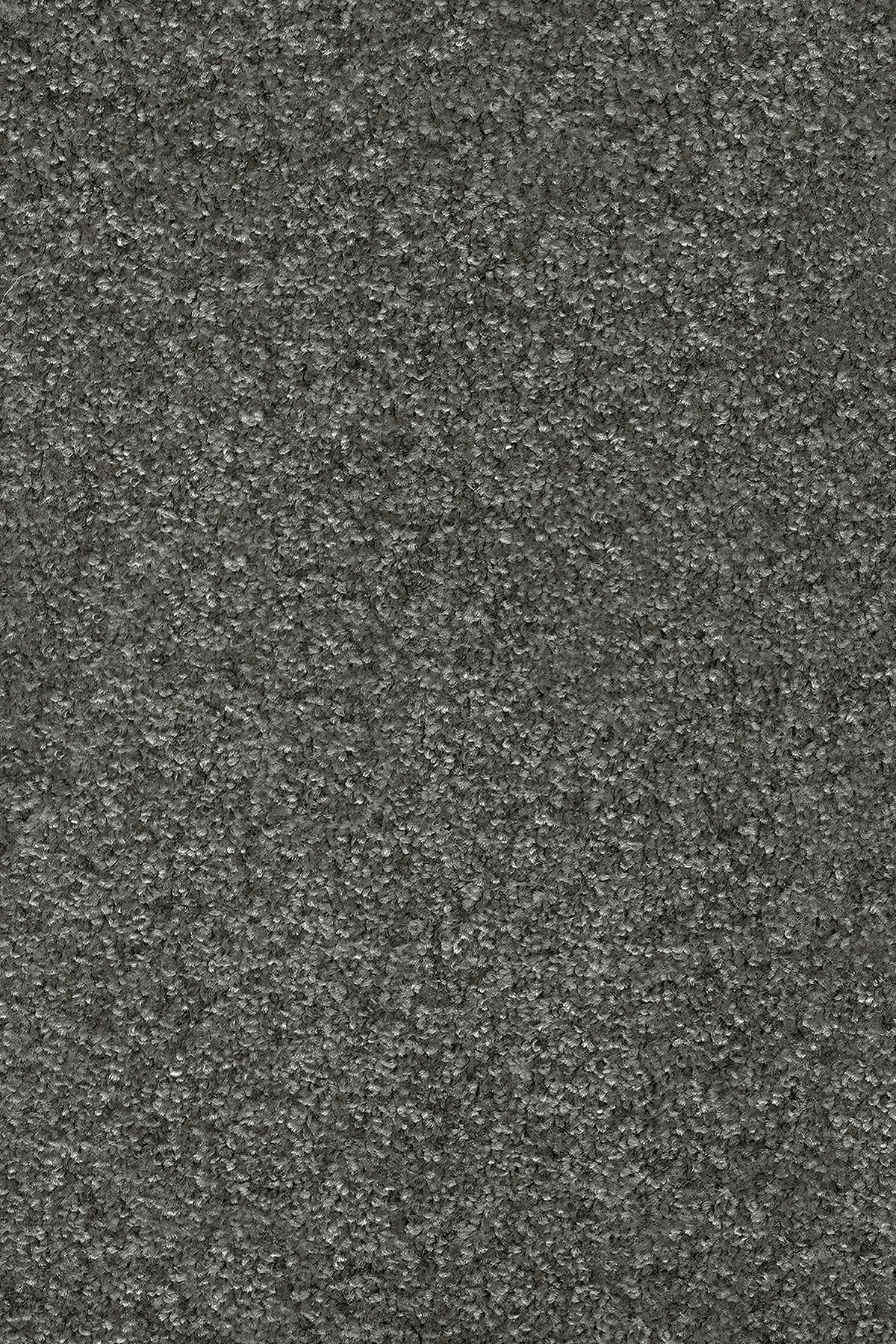Teppichboden Garda grau B: ca. 500 cm pro m² Garda - grau (500,00cm)