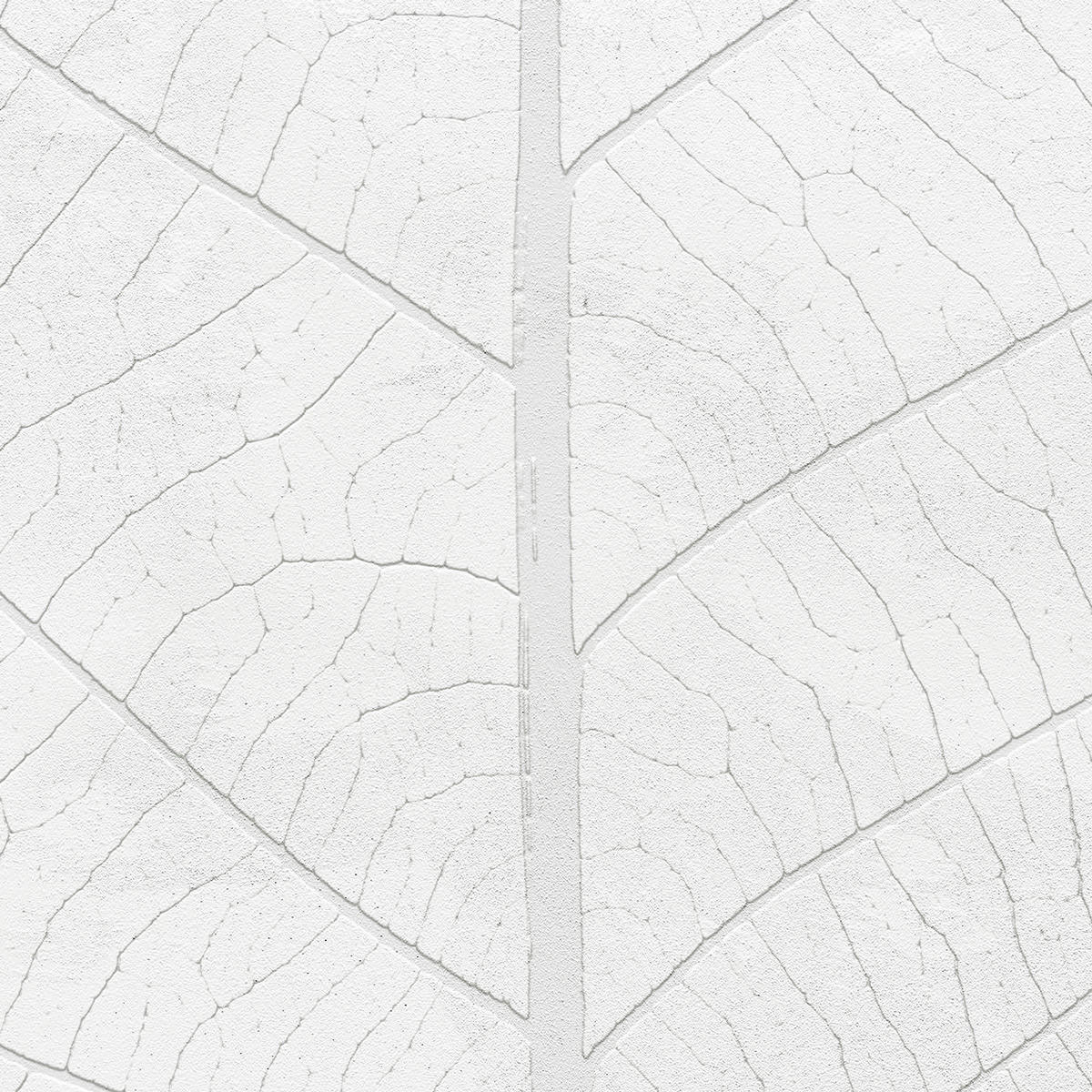 Komar Fototapete Decent Leaf B/L: ca. 200x280 cm Decent Leaf - (200,00/280,00cm) - Komar