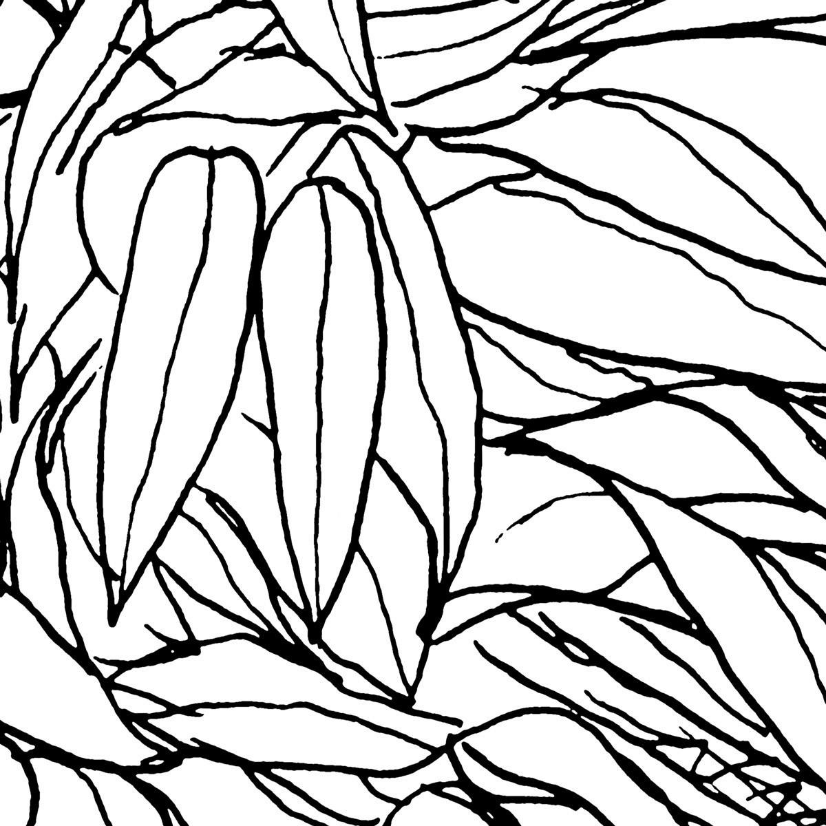 Komar Fototapete Blanca B/L: ca. 400x280 cm Blanca - (400,00/280,00cm) - Komar