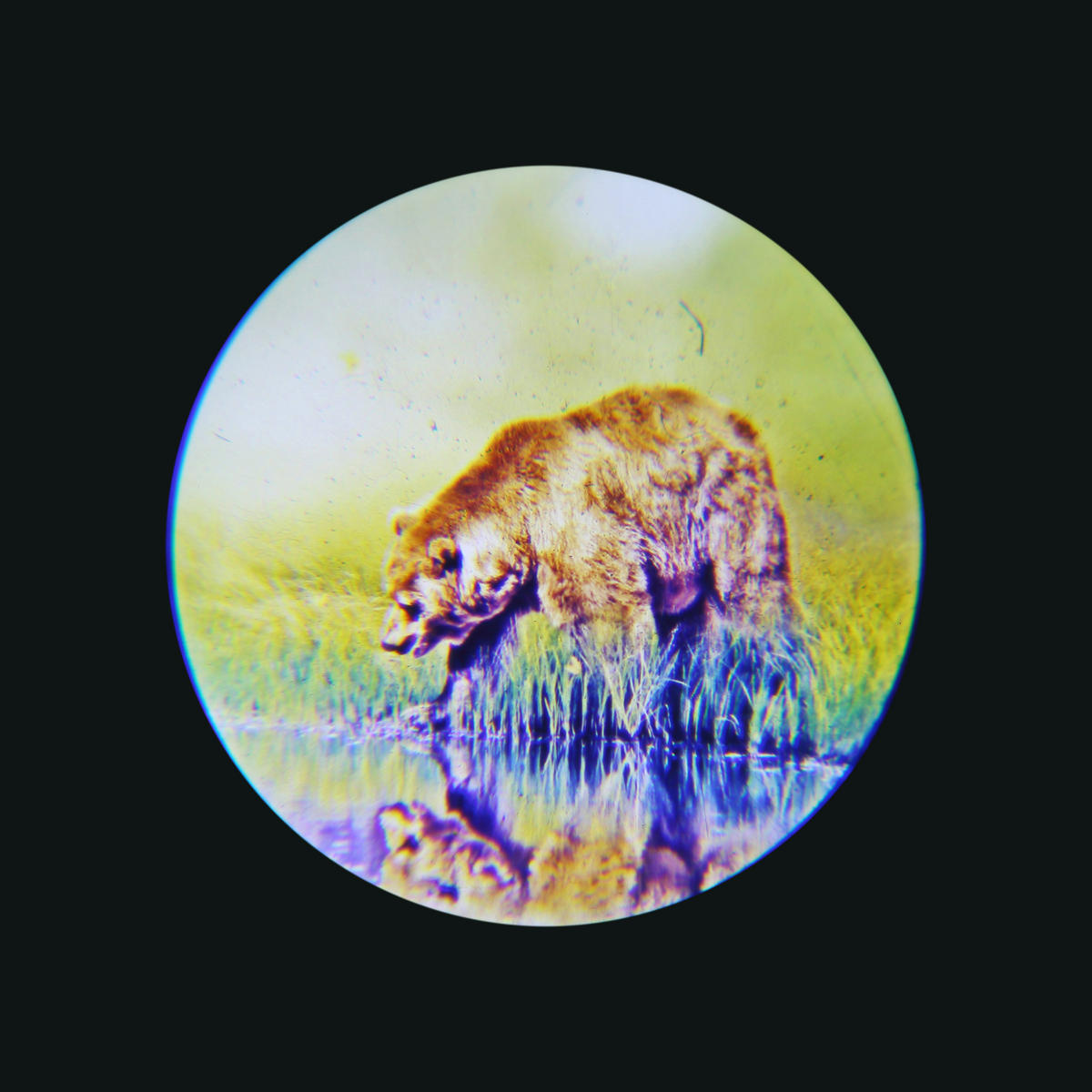 GLOBO Tischleuchte silber bunt schwarz PVC Kunststoff B/H/L: ca. 7x18,5x9,5 cm 1 Brennstellen COSMO - bunt/schwarz (9,50/7,00/18,50cm) - GLOBO