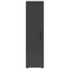 Schrank Multi-Stauraum Typ 6 anthrazit B/H/T: ca. 30x115x40 cm Multi-Stauraum Typ 6 - anthrazit (30,00/115,00/40,00cm)
