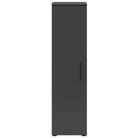 Schrank Multi-Stauraum Typ 6 anthrazit B/H/T: ca. 30x115x40 cm Multi-Stauraum Typ 6 - anthrazit (30,00/115,00/40,00cm)