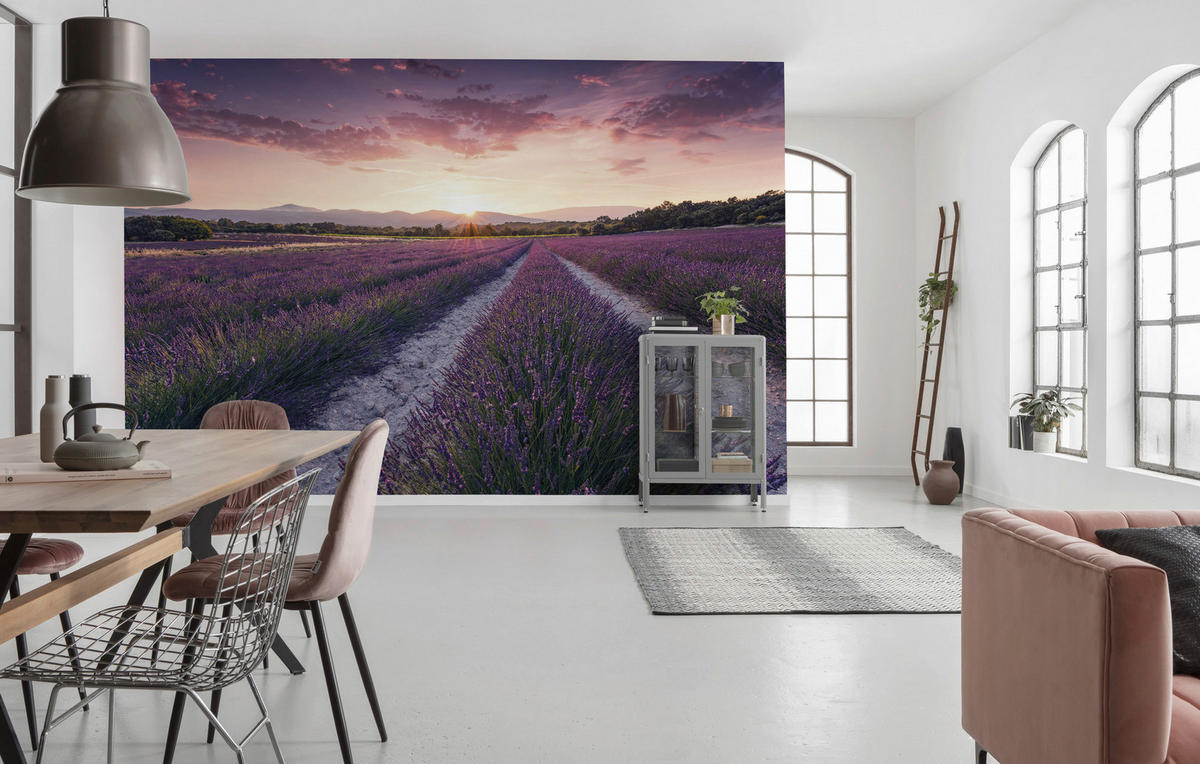 Komar Fototapete Lavender Dream B/L: ca. 450x280 cm Lavender Dream - (450,00/280,00cm) - Komar