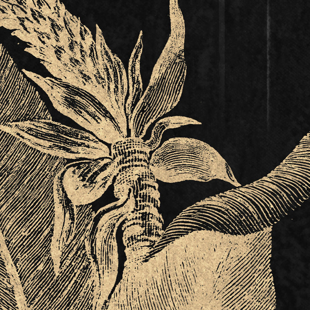 Komar Fototapete En Detail B/L: ca. 200x250 cm En Detail - (200,00/250,00cm) - Komar