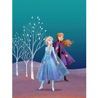 Komar Poster Frozen Sisters Disney B/L: ca. 30x40 cm Frozen Sisters - (30,00/40,00cm) - Komar