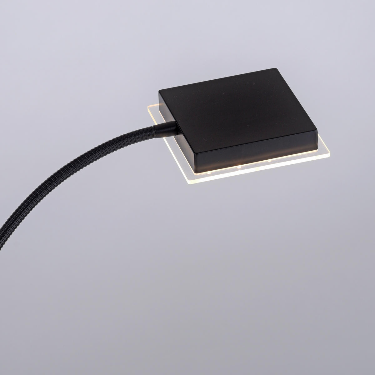 Just Light LED-Deckenfluter HANS 11710-18 schwarz Eisen Kunststoff B/H/T: ca. 25x190x25 cm 2 Brennstellen HANS - schwarz (25,00/190,00/25,00cm) - Just Light