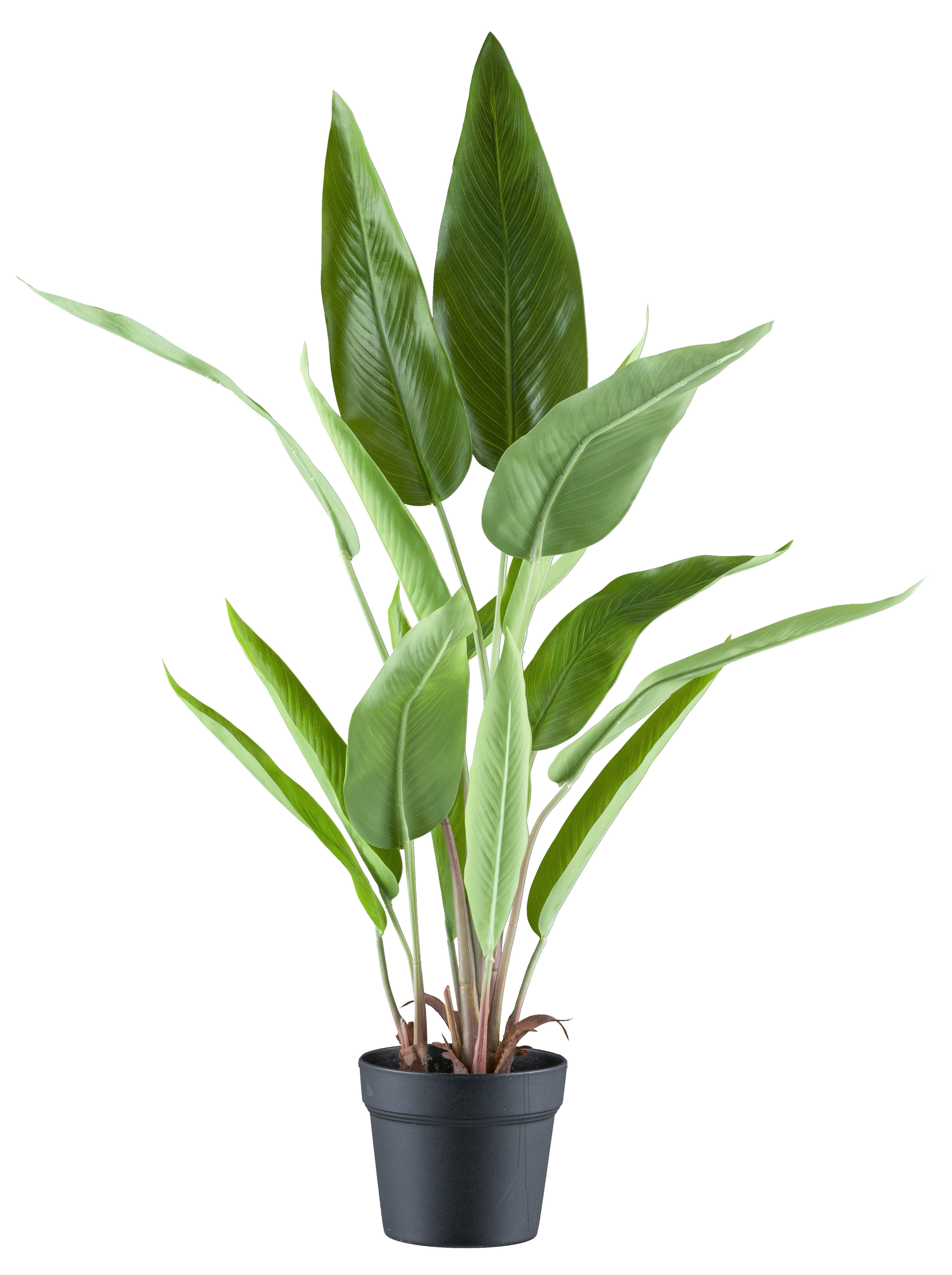 Kunstpflanze Strelitzia Reginae grün Kunststoff B/H/L: ca. 21x85x21 cm Strelitzia Reginae - grün (21,00/21,00/85,00cm)