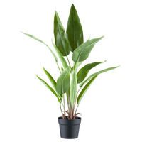Kunstpflanze Strelitzia Reginae grün Kunststoff B/H/L: ca. 21x85x21 cm Strelitzia Reginae - grün (21,00/21,00/85,00cm)