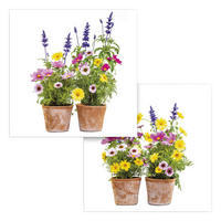Komar Fenstersticker Springtime Blumen Springtime B/L: ca. 31x31 cm Springtime - (31,00/31,00cm) - Komar