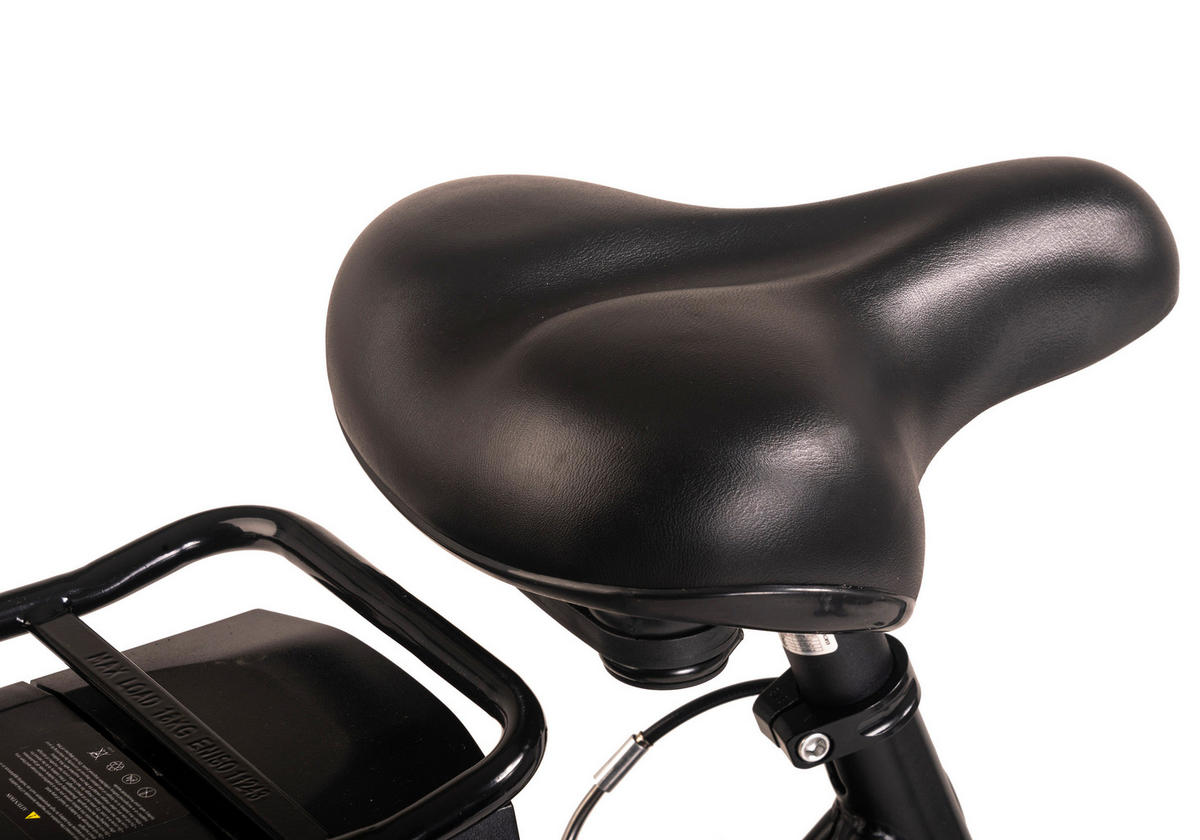 Hollandia City E-Bike E-Active KS198E 28 Zoll Rahmenhöhe 50 cm 6 Gänge schwarz schwarz ca. 250 W ca. 36 V ca. 28 Zoll E-Active - schwarz - Hollandia