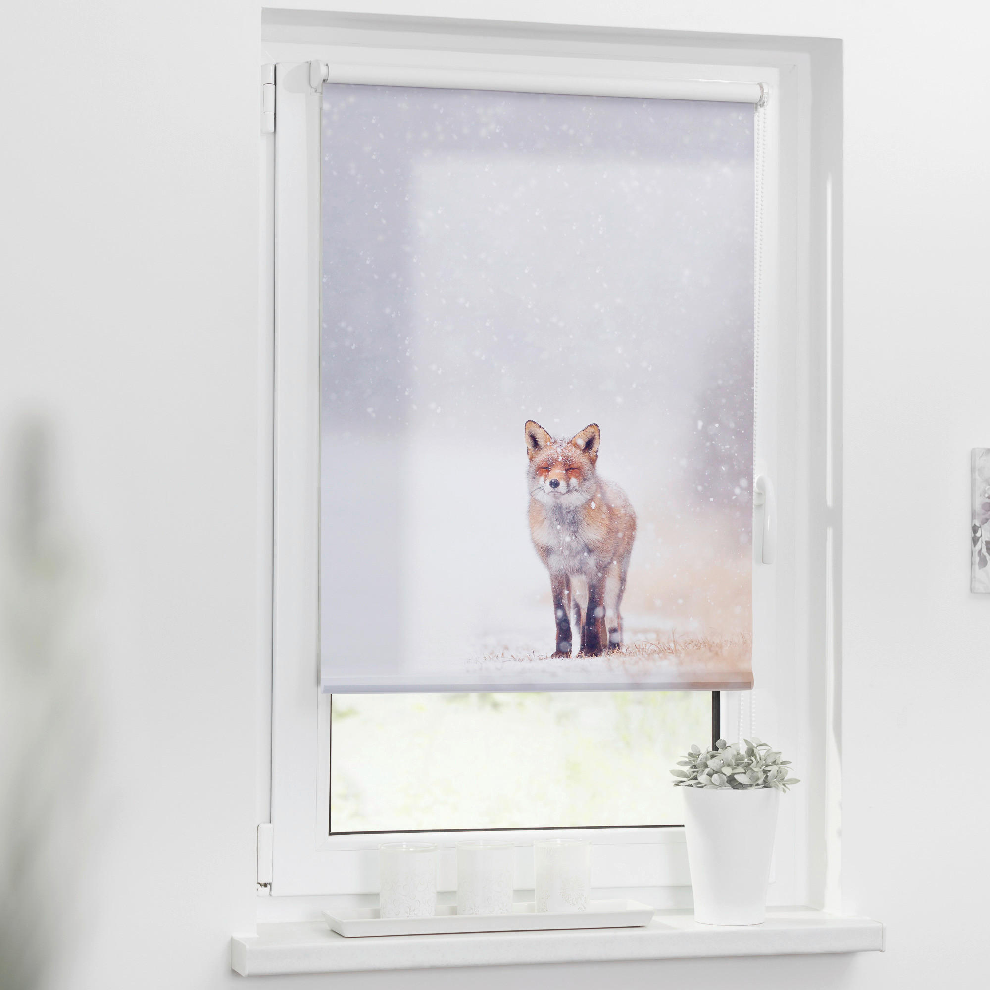Verdunkelungsrollo Fuchs im Schnee weiß B/L: ca. 120x150 cm