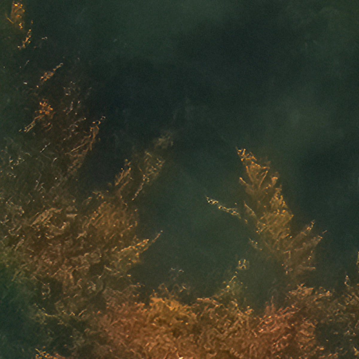 Komar Fototapete Tales of the Carpthians B/L: ca. 300x250 cm Tales of the Carpthians - (300,00/250,00cm) - Komar