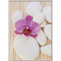 The Wall Bilderrahmen silber Kunststoff B/L: ca. 50x70 cm Fotorahmen 50x70cm - silber (50,00/70,00cm) - The Wall