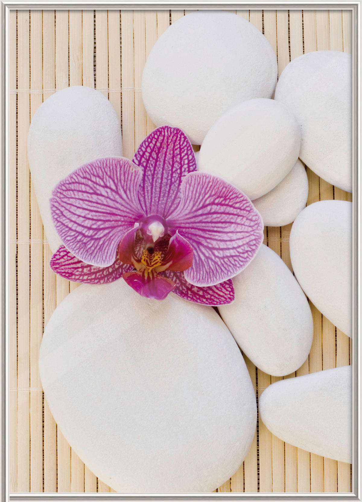 The Wall Bilderrahmen silber Kunststoff B/L: ca. 50x70 cm Fotorahmen 50x70cm - silber (50,00/70,00cm) - The Wall