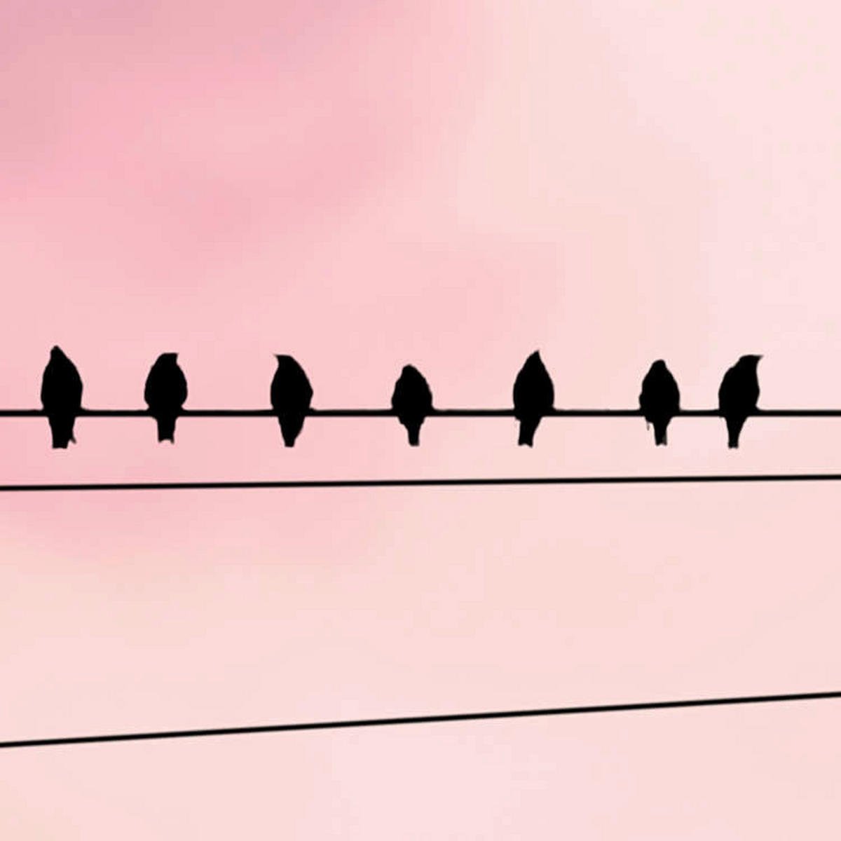 Komar Fototapete Cloud Wire B/L: ca. 400x250 cm Cloud Wire - (400,00/250,00cm) - Komar