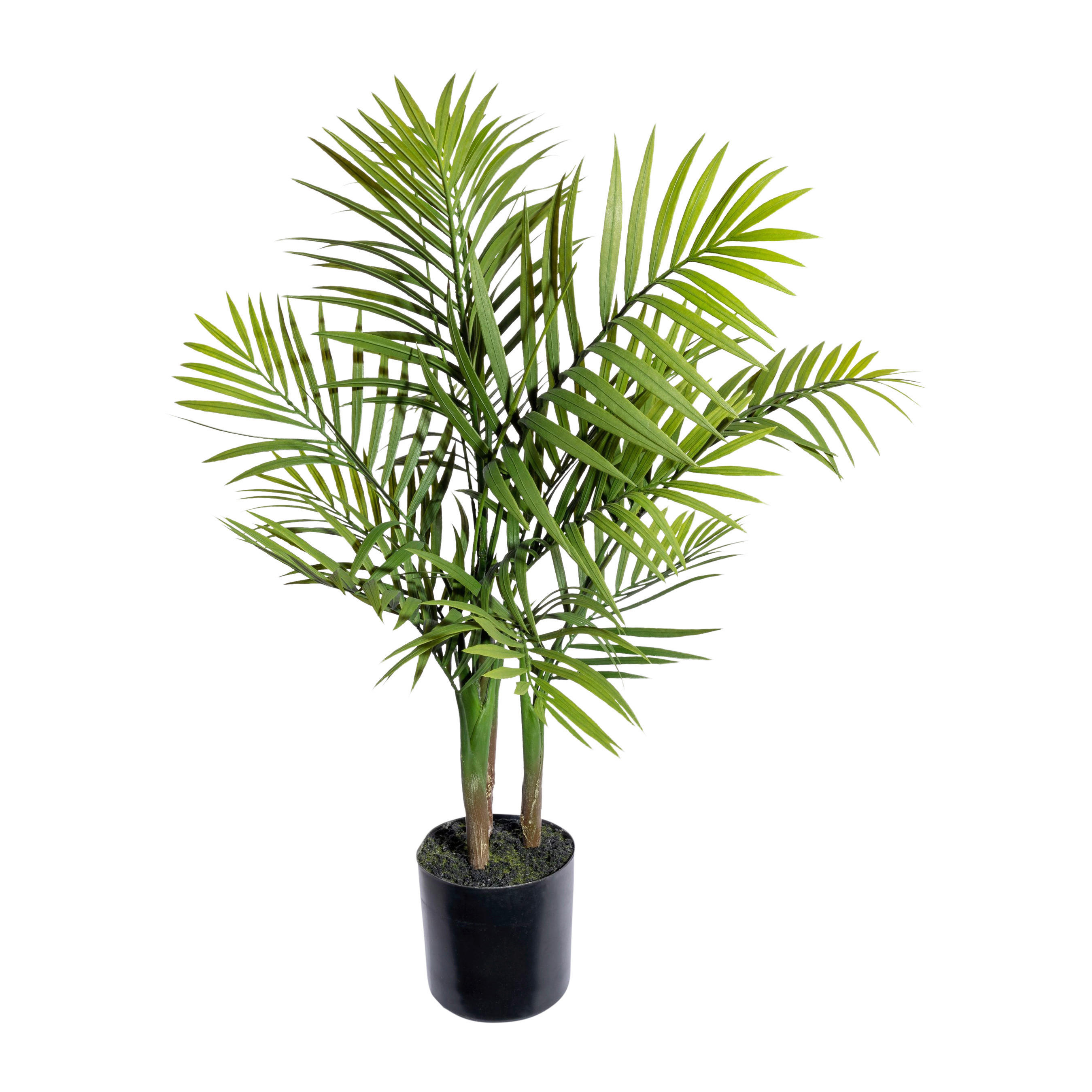 Kunstpflanze Bergpalme grün Kunststoff B/H/L: ca. 19x59x19 cm Bergpalme - grün (19,00/19,00/59,00cm)