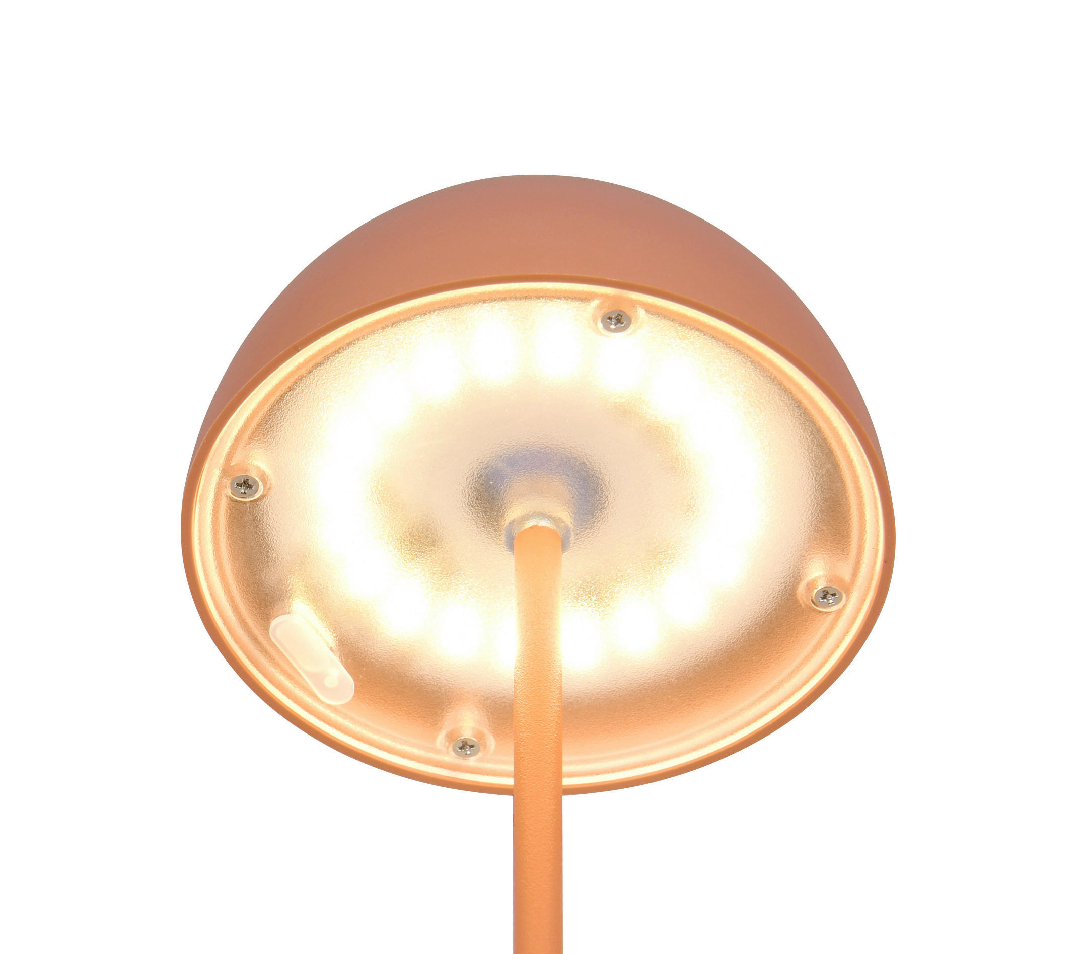 Reality LED Tischleuchte ORTIZ apricot Kunststoff H: ca. 2 cm 1 Brennstellen Ortiz - apricot (2,00cm) - Reality