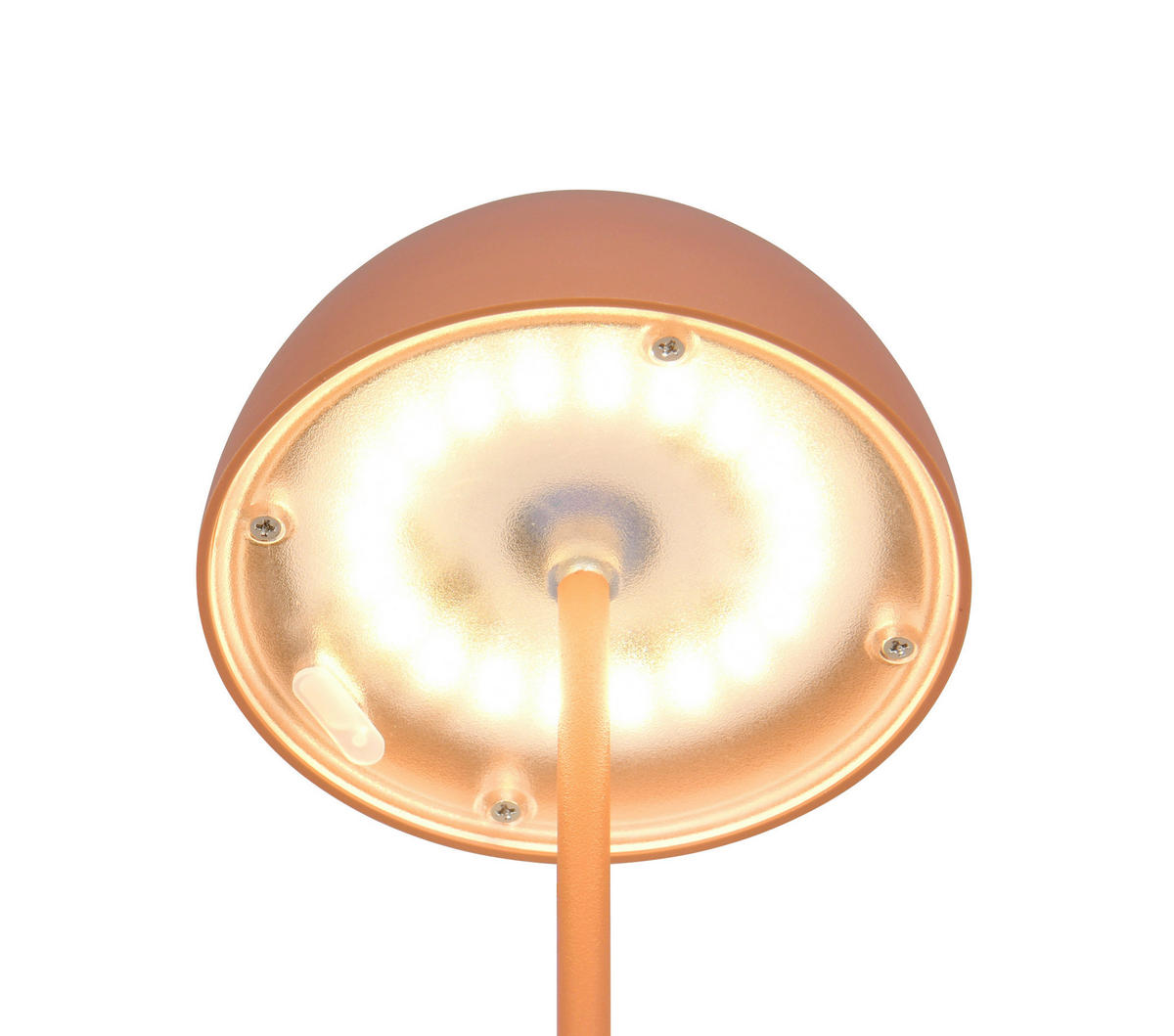 Reality LED Tischleuchte ORTIZ apricot Kunststoff H: ca. 2 cm 1 Brennstellen Ortiz - apricot (2,00cm) - Reality