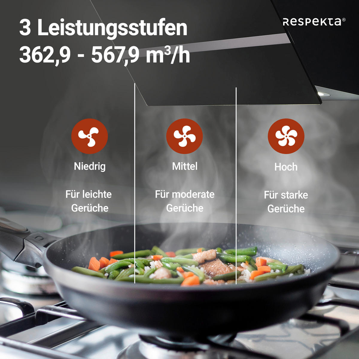 Respekta Dunstabzugshaube CH24060SAM schwarz B/H/T: ca. 59,5x34,2x38,5 cm CH24060SAM - schwarz (59,50/34,20/38,50cm) - Respekta
