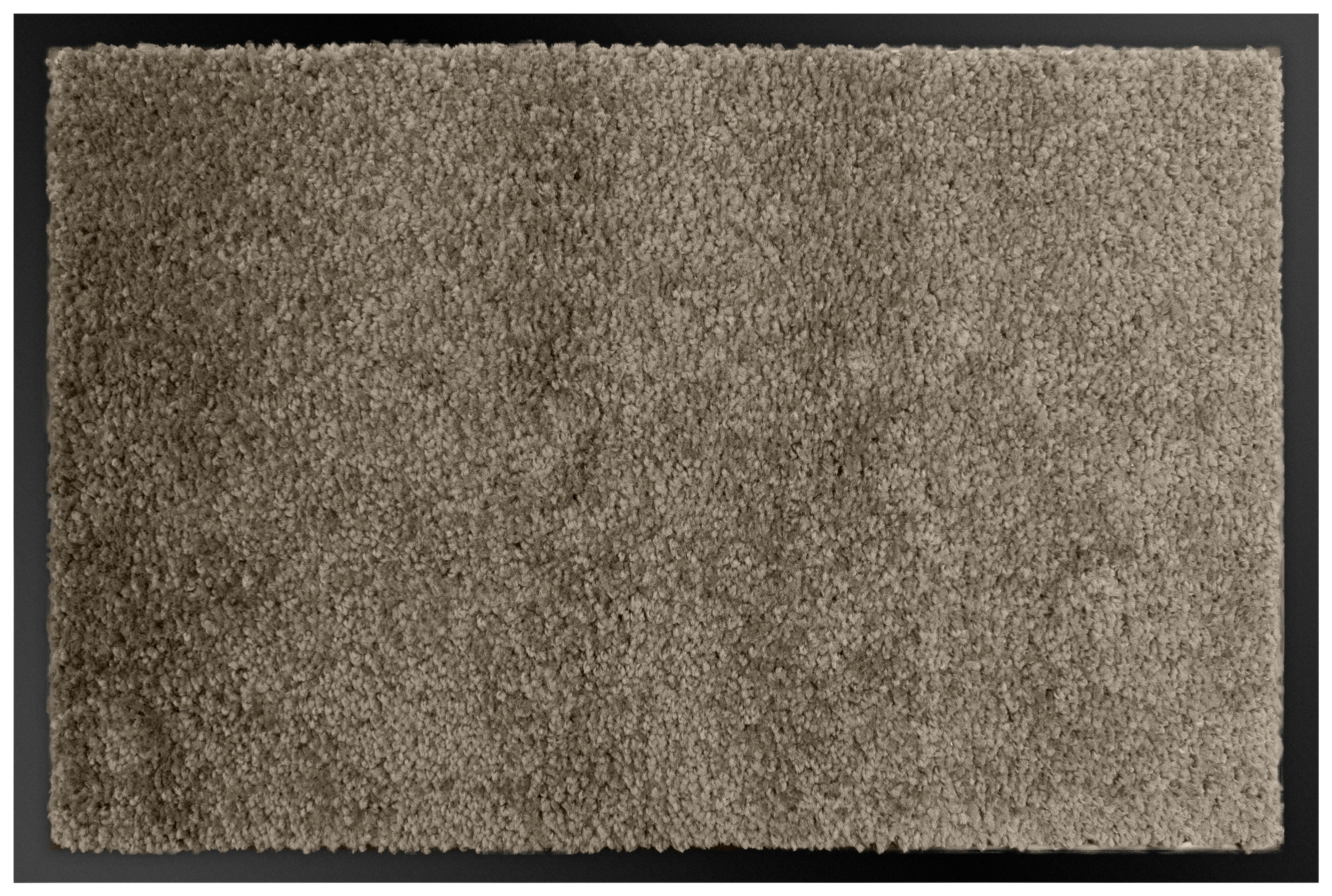 Schmutzfangmatte Teddy beige B/L: ca. 40x60 cm Teddy - beige (40,00/60,00cm)
