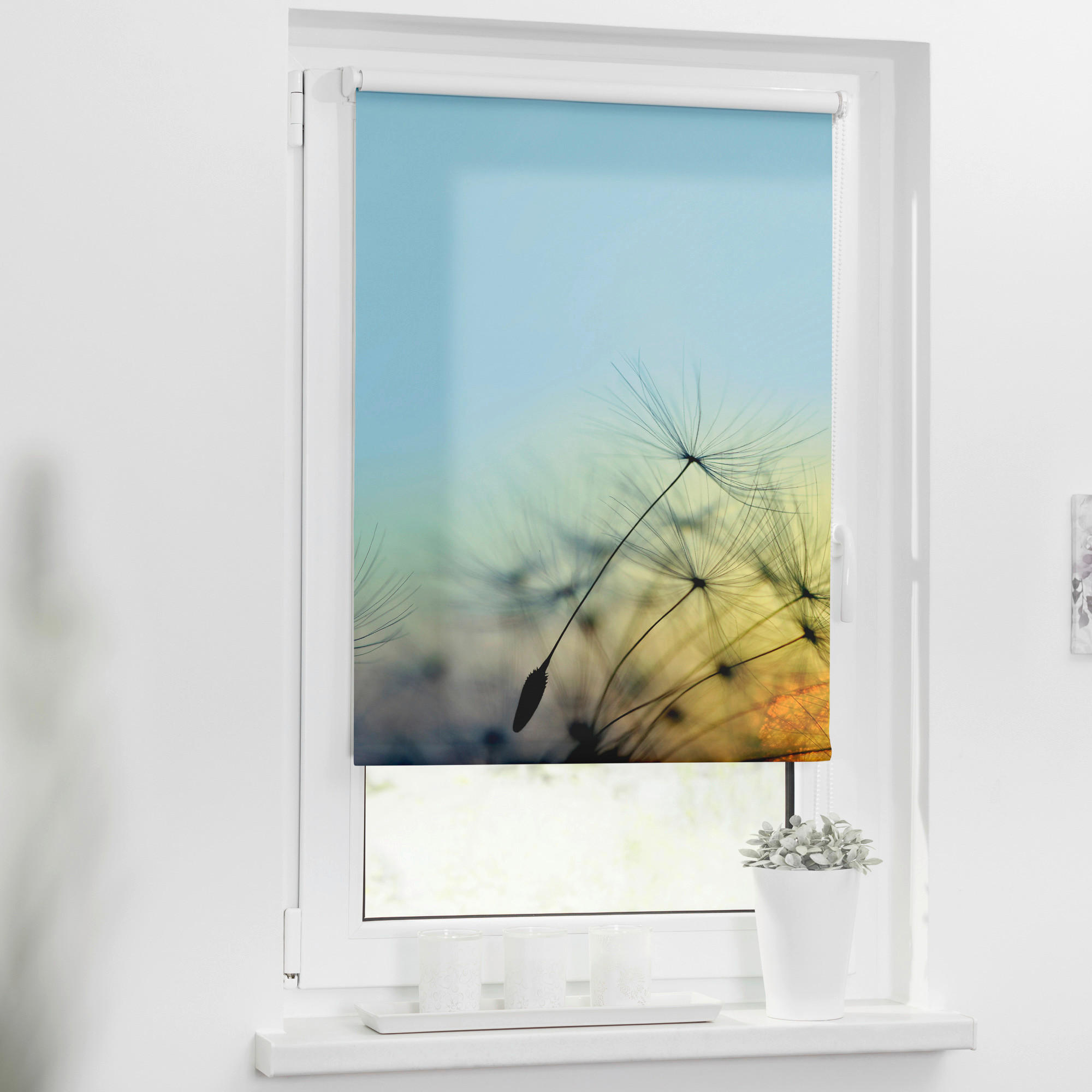Verdunkelungsrollo Pusteblume blau B/L: ca. 100x150 cm Pusteblume - blau (100,00/150,00cm)