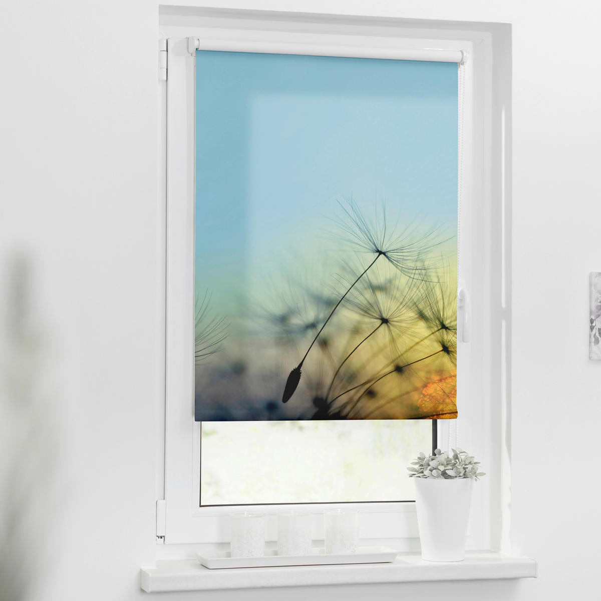 Verdunkelungsrollo Pusteblume blau B/L: ca. 60x150 cm Pusteblume - blau (60,00/150,00cm) - LICHTBLICK