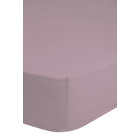 Baumwoll Spannbetttuch Spannbetttuch-Baumwolle 100x200cm - rosa (100,00/200,00cm) - Good Morning