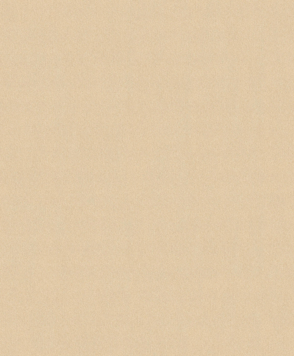 A.S.Creation Vliestapete Björn Uni beige B/L: ca. 53x1005 cm Björn - beige (53,00/1005,00cm) - A.S.Creation