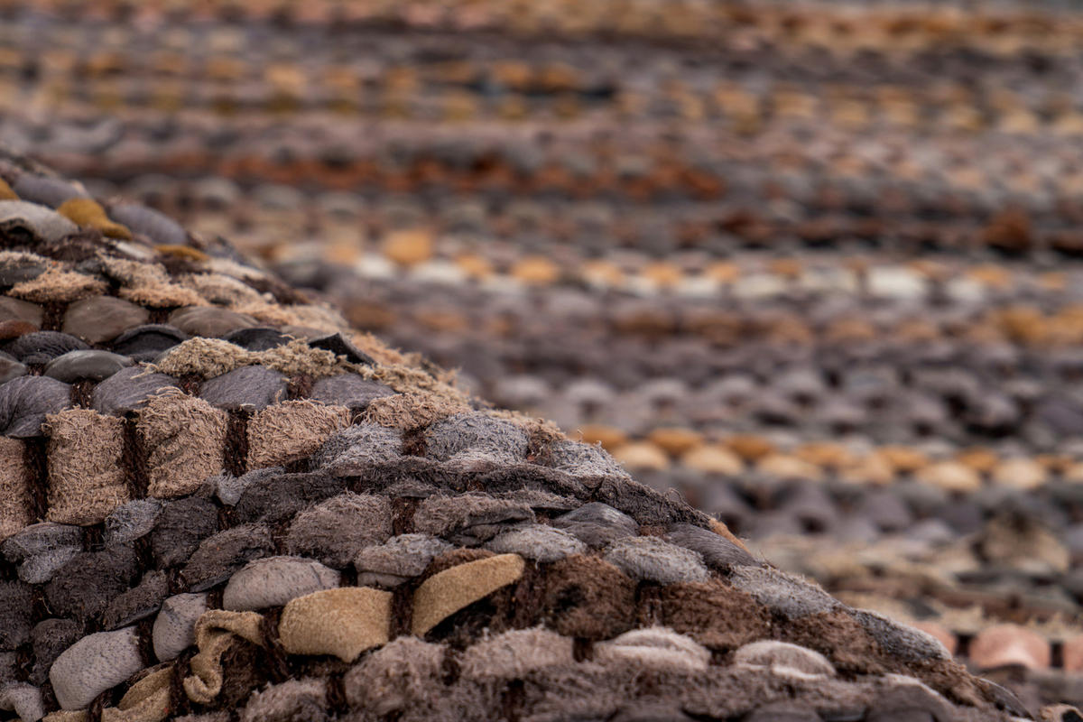 Kayoom Kurzflorteppich Sonipat 110 mehrfarbig B/L: ca. 200x300 cm Sonipat 110 - braun/mehrfarbig (200,00/300,00cm) - Kayoom