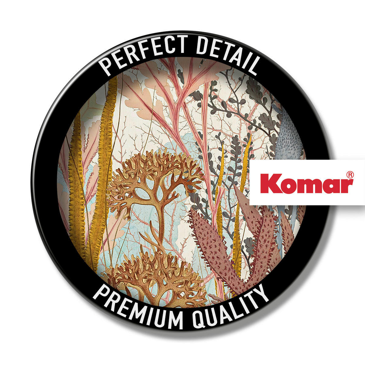 Komar Fototapete Catchy Corals B/L: ca. 200x250 cm Catchy Corals - (200,00/250,00cm) - Komar
