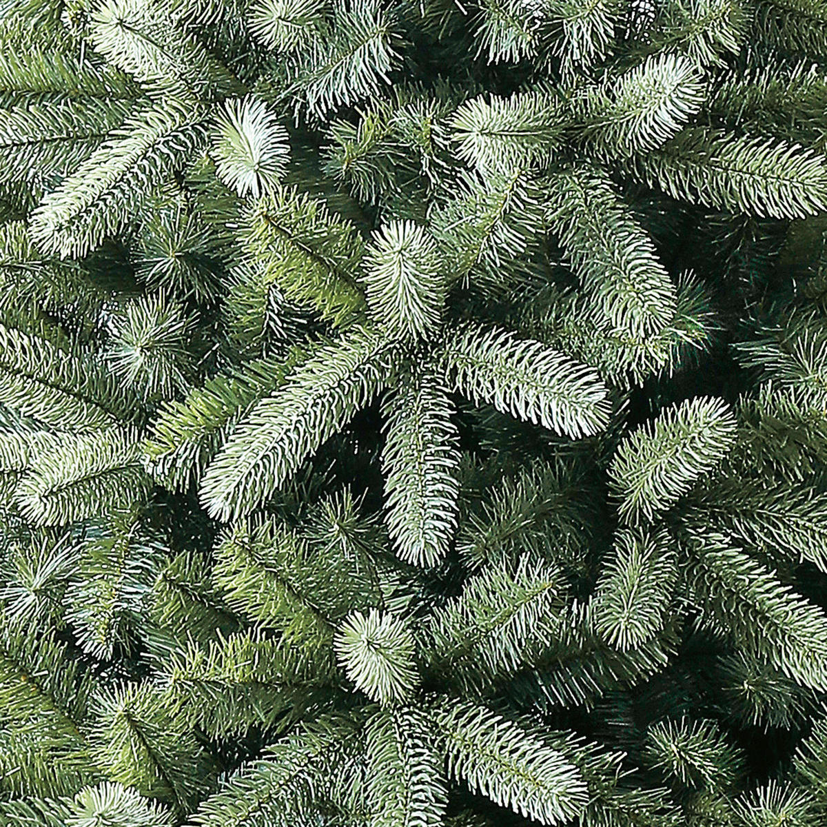 Evergreen Weihnachtsbaum Vermont Fichte grün PVC H/D: ca. 180x129 cm Vermont Fichte - grün (129,00/180,00cm) - Evergreen