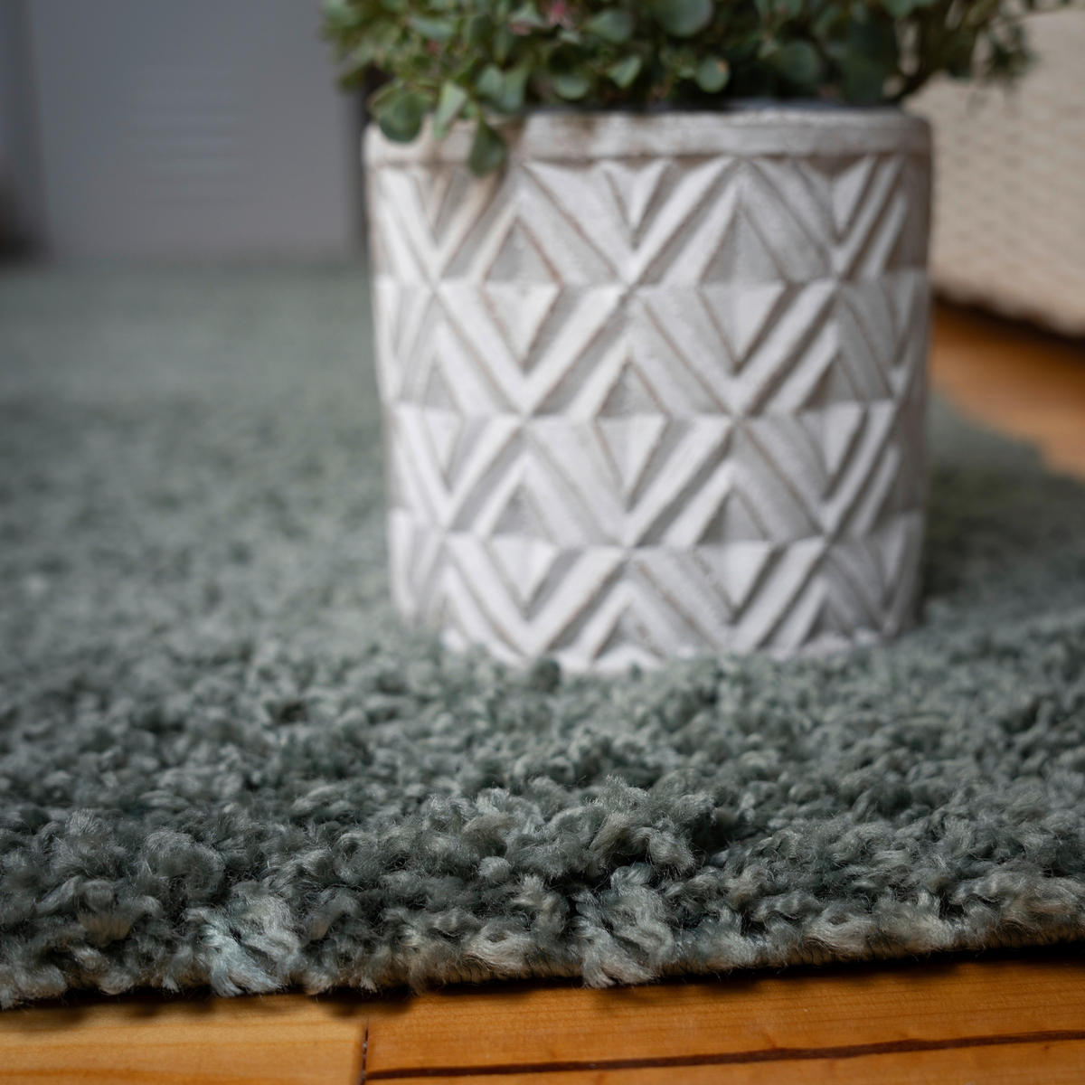 Obsession Teppich My Tropica Jade B/H/T/L/D: ca. 160x4x0x230x0 cm My Tropica - Jade (230,00/160,00/4,00cm) - Obsession