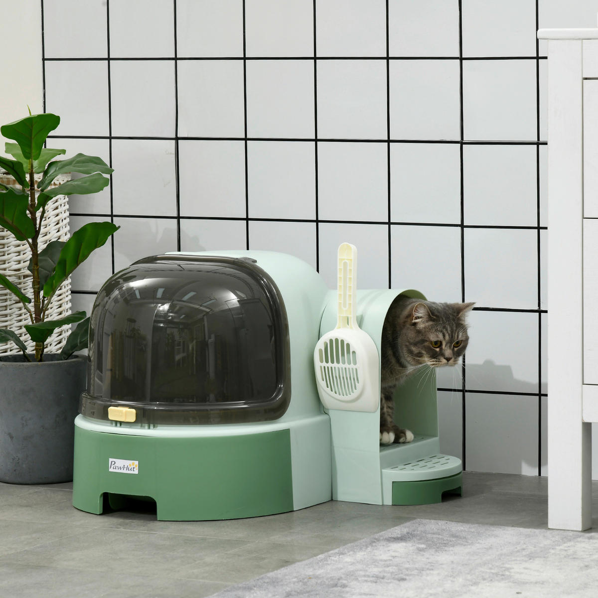 PawHut Katzen-Zubehör grün Edelstahl B/H/L: ca. 60x52x42 cm Katzentoilette - grün (42,00/60,00/52,00cm) - PawHut