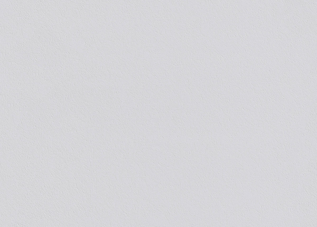 Erfurt Vliestapete Variovlies Sisal weiß B/L: ca. 75x2500 cm Variovlies Sisal - weiß (75,00/2500,00cm) - Erfurt