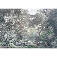 Komar Fototapete Wood Wide Web B/L: ca. 400x280 cm Wood Wide Web - (400,00/280,00cm) - Komar